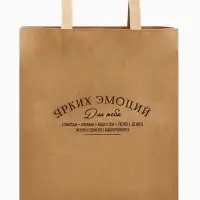 Пакет подарочный крафтовый &laquo;Ярких эмоций&raquo;, 24&times;28&times;14 см