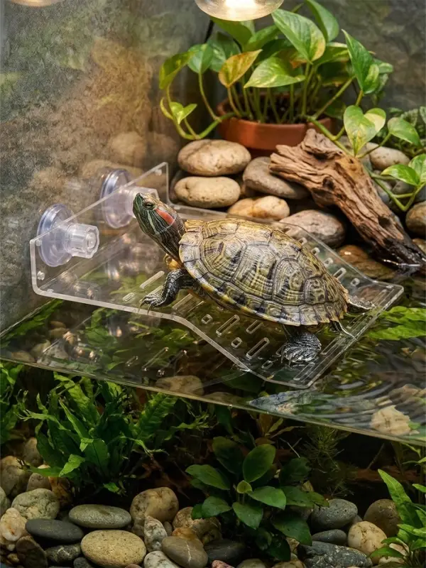 Мостик для черепах большой, 21.5&times;17.5&times;4 см, на присосках
