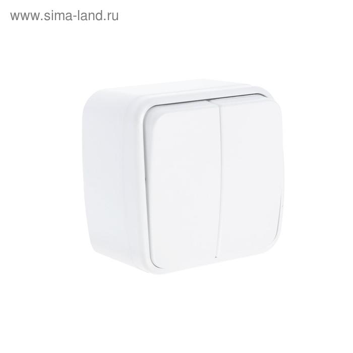 Выключатель TDM "Дача" Народный, 10 А, IP20, 2 клавиши, открытый, белый