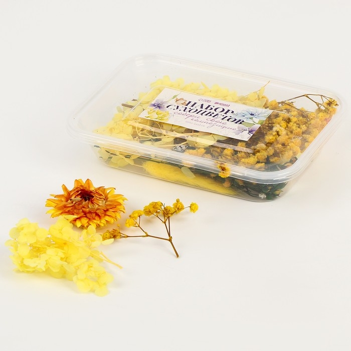 Набор сухоцветов «Летнее поле» Набор сухоцветов «Летнее поле»