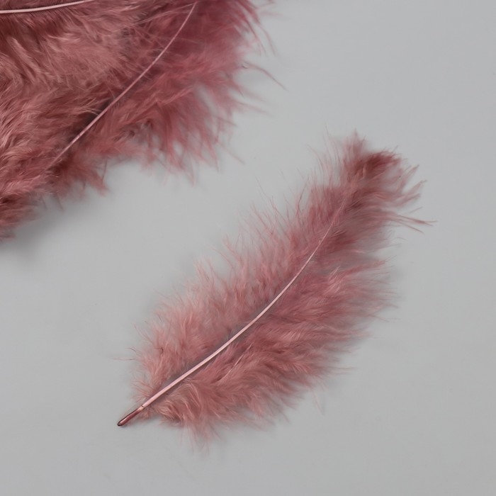 Перо декоративное гусиное пуховое Перо декоративное гусиное пуховое "Кофе" набор 40 шт h=10-15 см