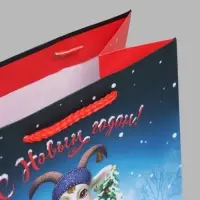 Пакет подарочный ламинированный &laquo;Год козы&raquo;, MS 18&times;22.3&times;10 см