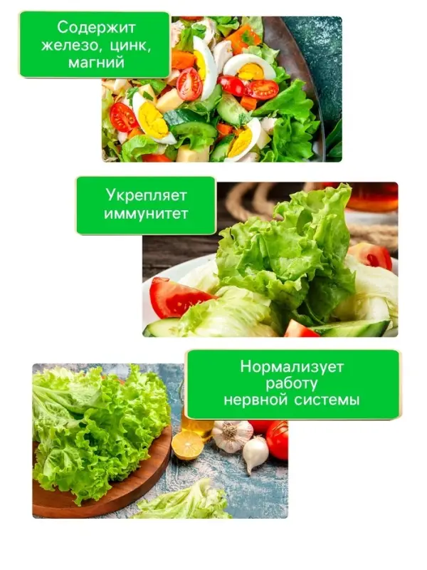 Семена Салат  Семена Салат "Букет", 0,5 г