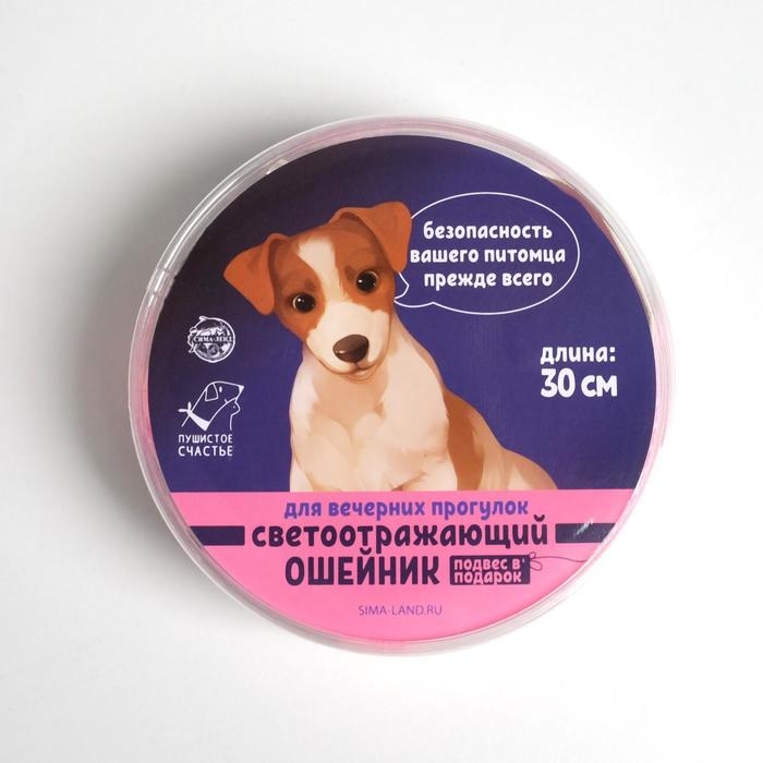 Ошейник светоотражающий с адресником, 30×1 см, капрон, розовый Ошейник светоотражающий с адресником, 30×1 см, капрон, розовый