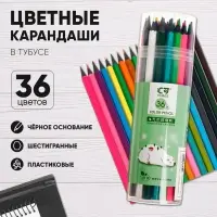 Карандаши цветные 36 цветов в тубусе, корпус шестигранный (пластиковые) черное основание