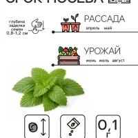 Семена Мелисса лекарственная &laquo;Лимонный аромат&raquo; 0.1 г, &laquo;Рецепты дедушки Никиты&raquo;