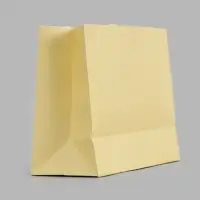 Пакет подарочный, ламинированный, горизонтальный, &laquo;Молочный&raquo;, 28&times;20&times;10 см