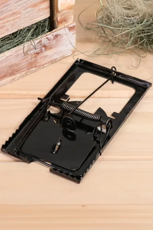 Крысоловка, 8.5&times;15 см, металлическая, Greengo