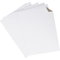 Картон белый Выбор есть Отличник 24л А4 немелован.пакет