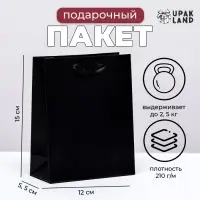 Пакет подарочный ламинированный «Чёрный», S 12×15×5.5 см Пакет подарочный ламинированный «Чёрный», S 12×15×5.5 см