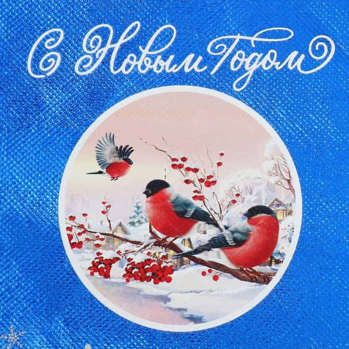 Пакет-мешок из нетканного материала «Поверь в сказку», 25 х 32 см, Новый год Пакет-мешок из нетканного материала «Поверь в сказку», 25 х 32 см, Новый год