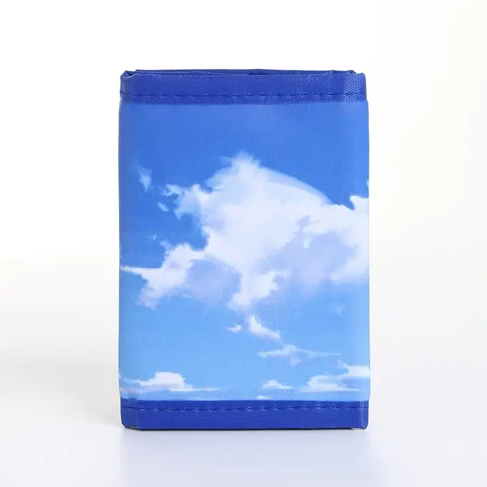 Кошелёк детский Выбражулька &laquo;Аниме&raquo;, на липучке, голубой