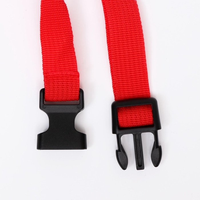 Намордник сетчатый с двойной фиксацией, размер M (длина по носу 10 см, обхват морды 20 см), красный Намордник сетчатый с двойной фиксацией, размер M (длина по носу 10 см, обхват морды 20 см), красный