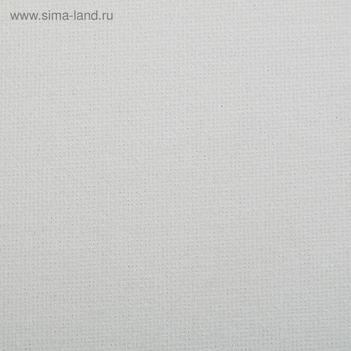 Холст на картоне 25 х 35 см, хлопок 100%, толщина 3 мм, акриловый грунт, мелкозернистый, ЗХК Холст на картоне 25 х 35 см, хлопок 100%, толщина 3 мм, акриловый грунт, мелкозернистый, ЗХК "Сонет", DK13701-25x35