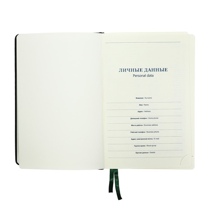 Ежедневник НЕдатированный А5, 136 листов в линейку, кожзам "Небраска", золотой срез, зеленый