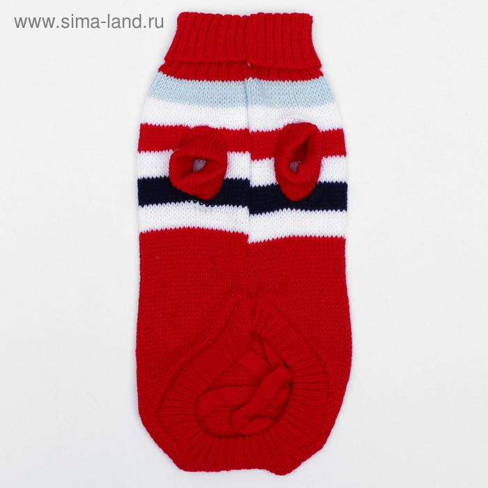 Свитер, размер 12 (ДС 36-51, ОШ 18-33, ОГ 32-47 см), микс расцветок Свитер, размер 12 (ДС 36-51, ОШ 18-33, ОГ 32-47 см), микс расцветок