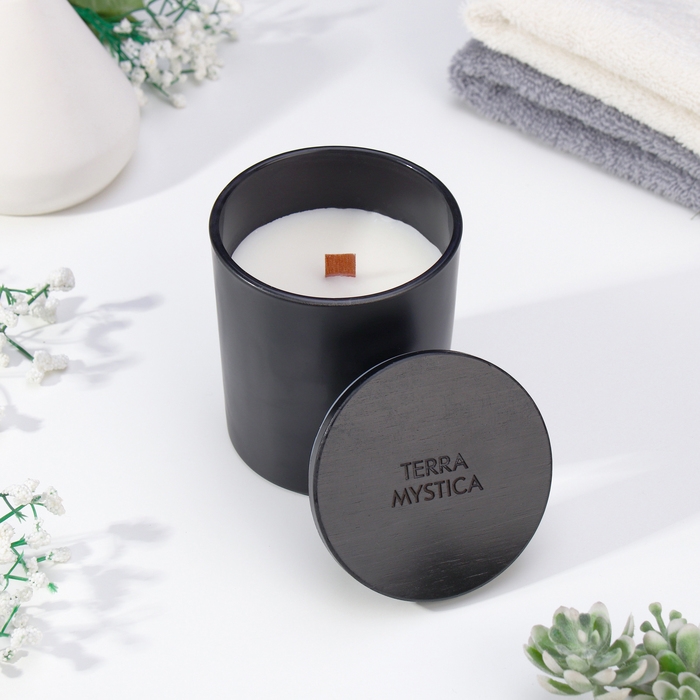 Ароматическая свеча  Ароматическая свеча "Breesal, TERRA MYSTICA", Апельсин, Груша, Ягоды