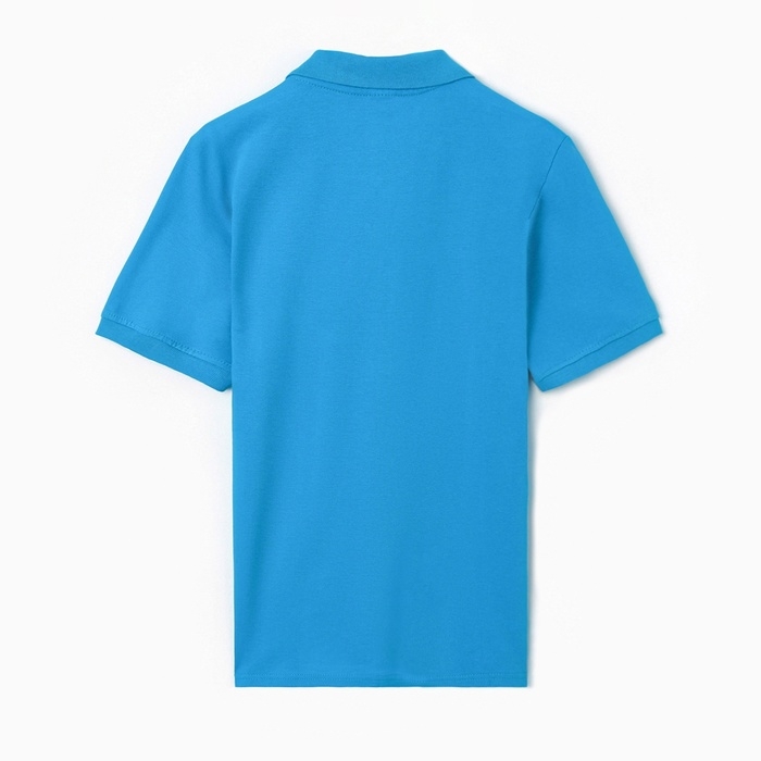 Футболка мужская поло, цвет бирюзовый, размер 56