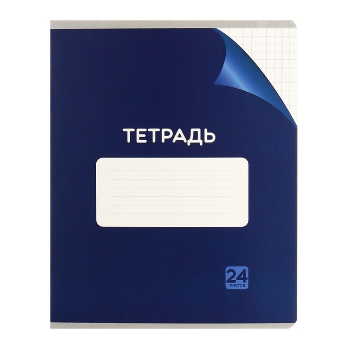 Комплект тетрадей из 10 штук, 24 листа в клетку Calligrata "Однотонная Классика с уголком. Эконом", обложка мелованный картон, ВД-лак, блок №2, белизна 75% (серые листы), 5 видов по 2 штуки