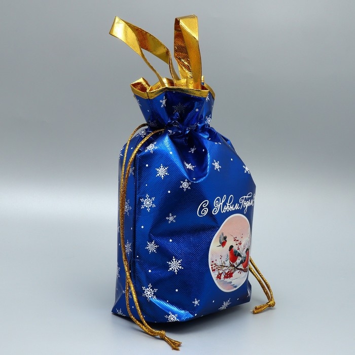 Пакет-мешок из нетканного материала «Поверь в сказку», 25 х 32 см, Новый год Пакет-мешок из нетканного материала «Поверь в сказку», 25 х 32 см, Новый год