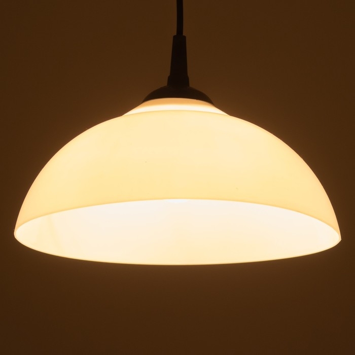 Люстра Люстра "Хоста" 1х15Вт Е27 МОДЕЛЬ: BR 00261 черный/белый 29х29х13см