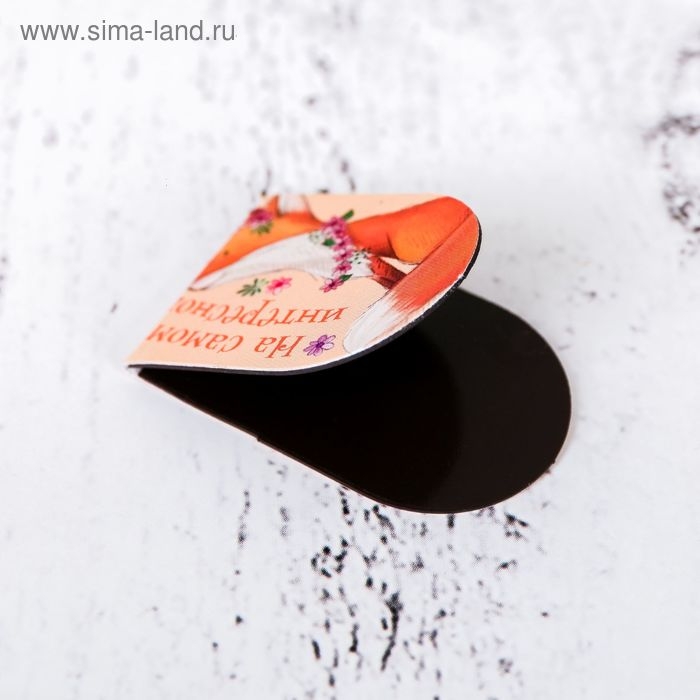 Закладки магнитные на подложке Закладки магнитные на подложке "Твое счастье", 6 шт