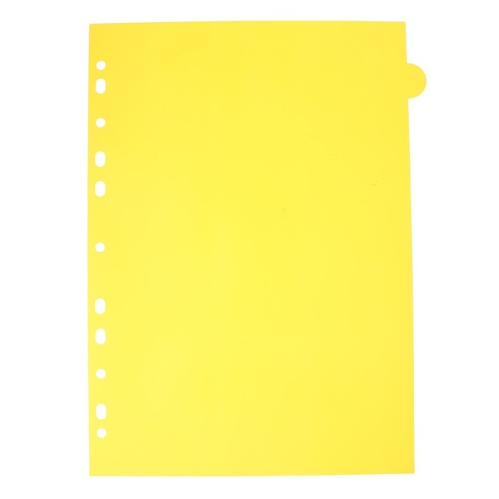 Разделитель листов A4 (245 x 305 мм), цветовой, 12 листов, Разделитель листов A4 (245 x 305 мм), цветовой, 12 листов, "deVENTE. Marandi" полипропилен 140 мкм, индивидуальная упаковка