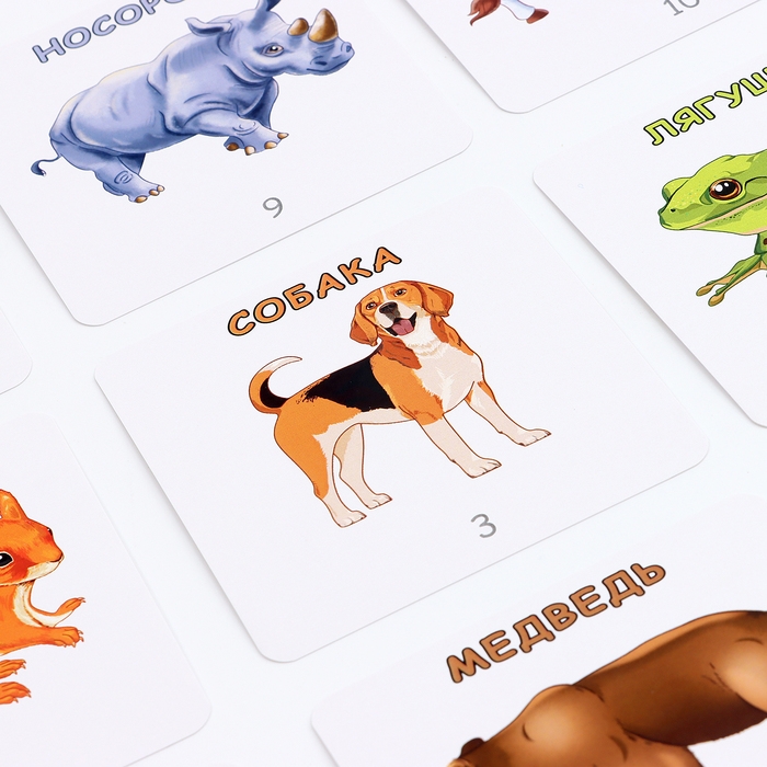 Набор карточек «Да или нет. Животные» Набор карточек «Да или нет. Животные»