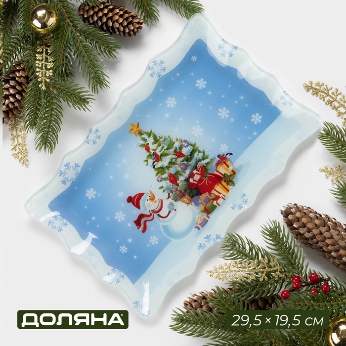 Блюдо стеклянное прямоугольное Доляна «Зимняя сказка», 29,5×19,5 см Блюдо стеклянное прямоугольное Доляна «Зимняя сказка», 29,5×19,5 см