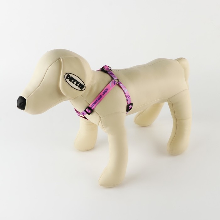 Комплект «Маленькая леди», шлейка 24-36 см, поводок 120х1 см