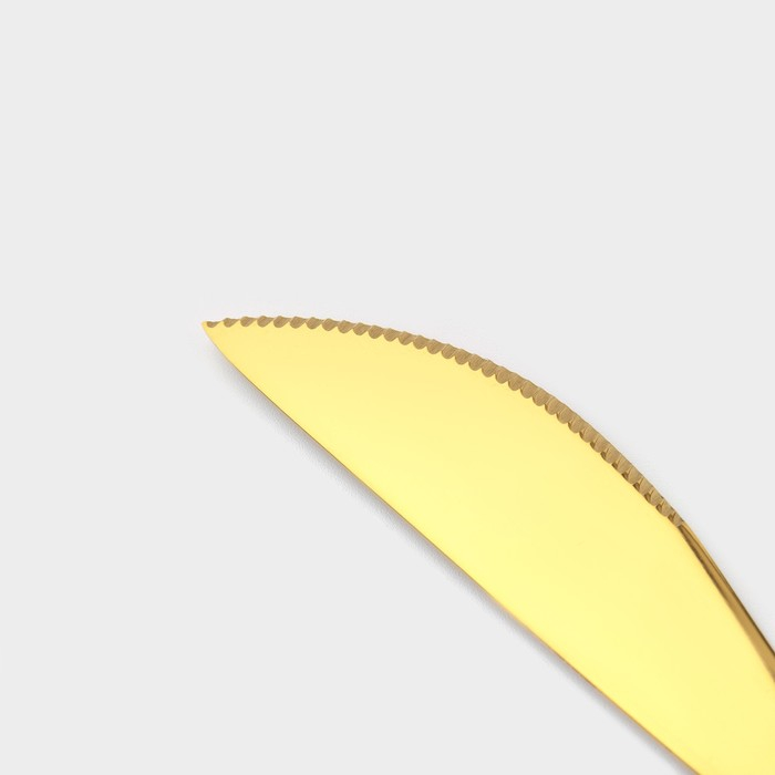 Столовые приборы из нержавеющей стали Magistro «Блинк», 4 предмета, цвет золотой Столовые приборы из нержавеющей стали Magistro «Блинк», 4 предмета, цвет золотой