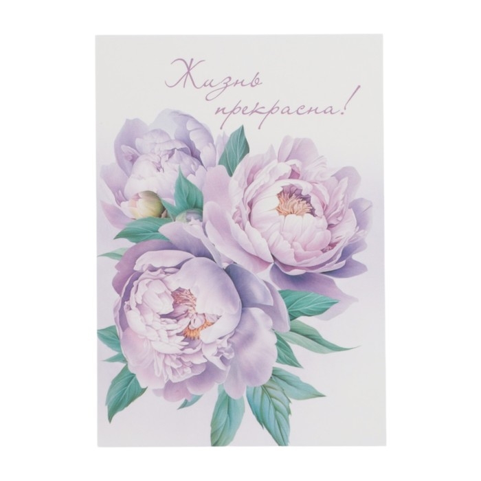 Набор мини-открыток  Набор мини-открыток "Цветы" 7,6 х 10,6 см