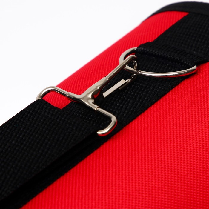 Сумка - переноска для животных  Сумка - переноска для животных "Весёлый жук", красная, размер L, 53 х 21 х 29 см