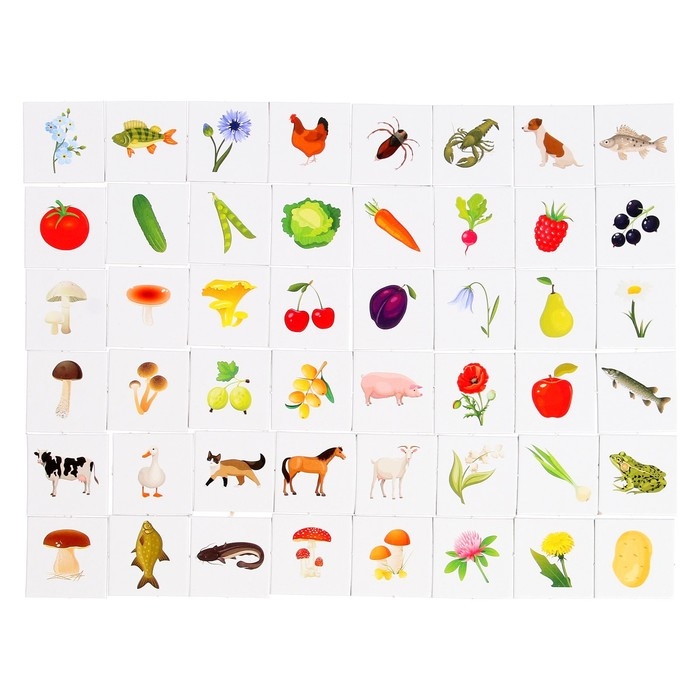 Лото «Лето в деревне» Лото «Лето в деревне»