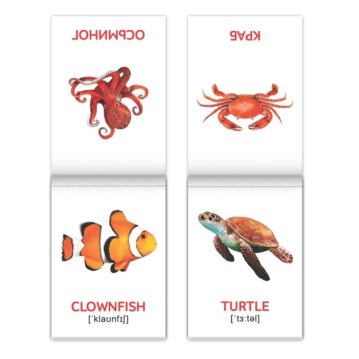 Книги набор «Карточки Домана на английском языке», 8 шт. по 24 стр. Книги набор «Карточки Домана на английском языке», 8 шт. по 24 стр.