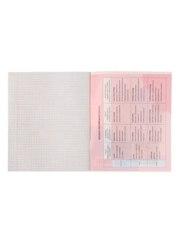 Предметная тетрадь по английскому языку Calligrata &laquo;Животные мемы&raquo;, 36 листов, в клетку, со справочным материалом, обложка из мелованной бумаги