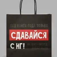 Пакет подарочный &laquo;НГ&raquo;, 22&times;22&times;11 см, крафт