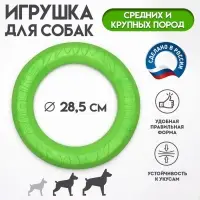 Кольцо &laquo;ДогЛайк&raquo; d=2612, 8-мигранное, среднее, d=28.5 см, зелёное