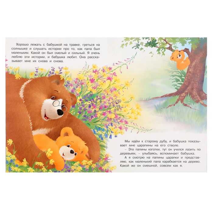 Мишка и его семья. Бабушкино сокровище, 16 стр. Мишка и его семья. Бабушкино сокровище, 16 стр.