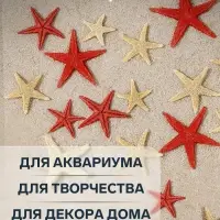 Набор натуральных морских звезд, 1.5 - 2.5 см, 20 шт., красные - белые