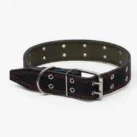 Ошейник комбинированный, безразмерный, 83&times;4.5 см, ОШ 20-70 см, кожа, брезент, синий