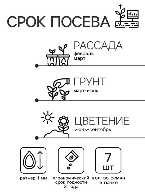 Семена цветов Катарантус  Семена цветов Катарантус "Пацифика Априкот", 7 шт