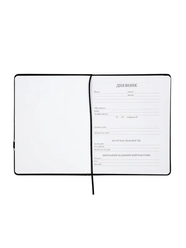 Дневник школьный 1-11 класс, ляссе, обложка искусственная кожа, с хлястиком, с ручкой, чёрный