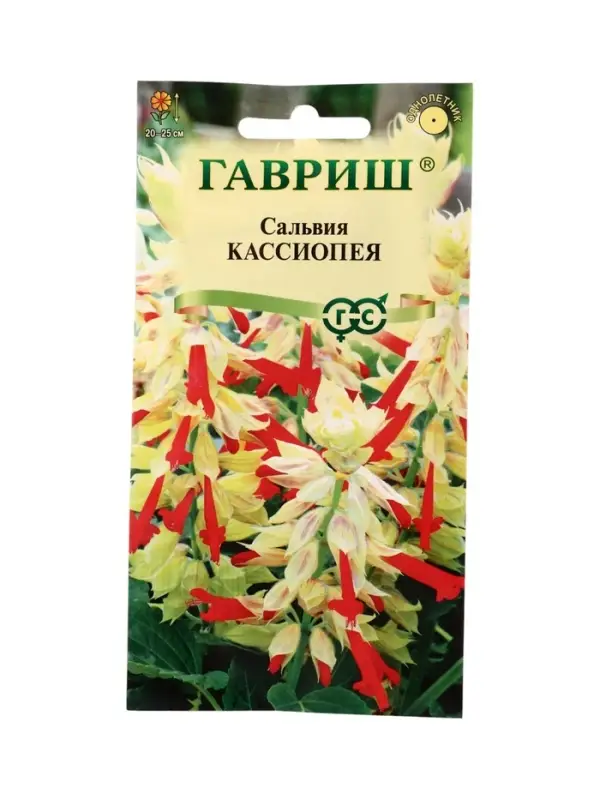 Семена цветов Сальвия Кассиопея*, карликовая  4 шт.