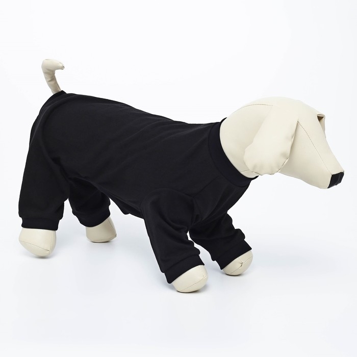 Комбинезон однотонный чёрный, L (ДС 39, ОШ 36-38, ОГ 60-62) Комбинезон однотонный чёрный, L (ДС 39, ОШ 36-38, ОГ 60-62)