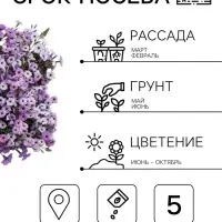 Семена цветов Петуния &laquo;Тайдал Вейв Сильвер&raquo; F1, 5 шт., &laquo;Агросидстрейд&raquo;