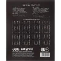 Тетрадь 48 листов в клетку Calligrata &laquo;Чёрные текстуры&raquo;, блок офсет, 5 В МИКС