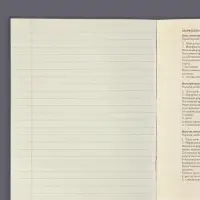 Тетрадь предметная 48 листов в клетку Calligrata, «Чёрное-белое. Русский язык», обложка мелованная бумага, серые листы