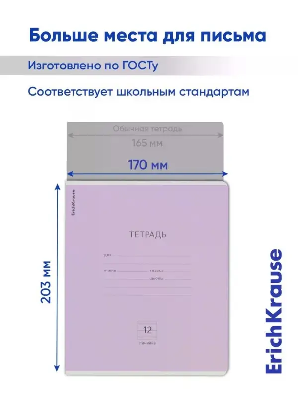 Тетрадь 12 листов в линейку ErichKrause &laquo;Классика&raquo;, обложка мелованный картон, блок офсет, белизна 100%, фиолетовая