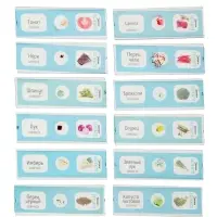 ЭВРИКИ Набор для опытов "Набор микропрепаратов", овощи и зелень ЭВРИКИ Набор для опытов "Набор микропрепаратов", овощи и зелень